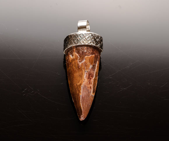 Amazon.com: Spinosaurus Tooth Pendant Stainless Steel Dinosaur Tooth, Real  Fossil Dinosaur Tooth Necklace : Handmade Products
